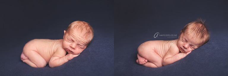 Newborn photos Auckland