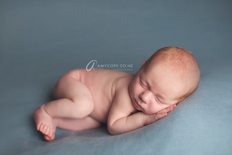 Auckland Newborn photos