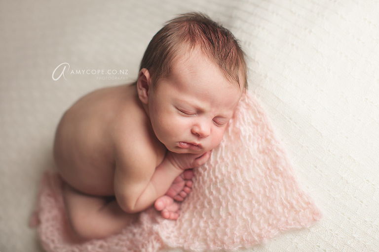 Newborn photos Auckland