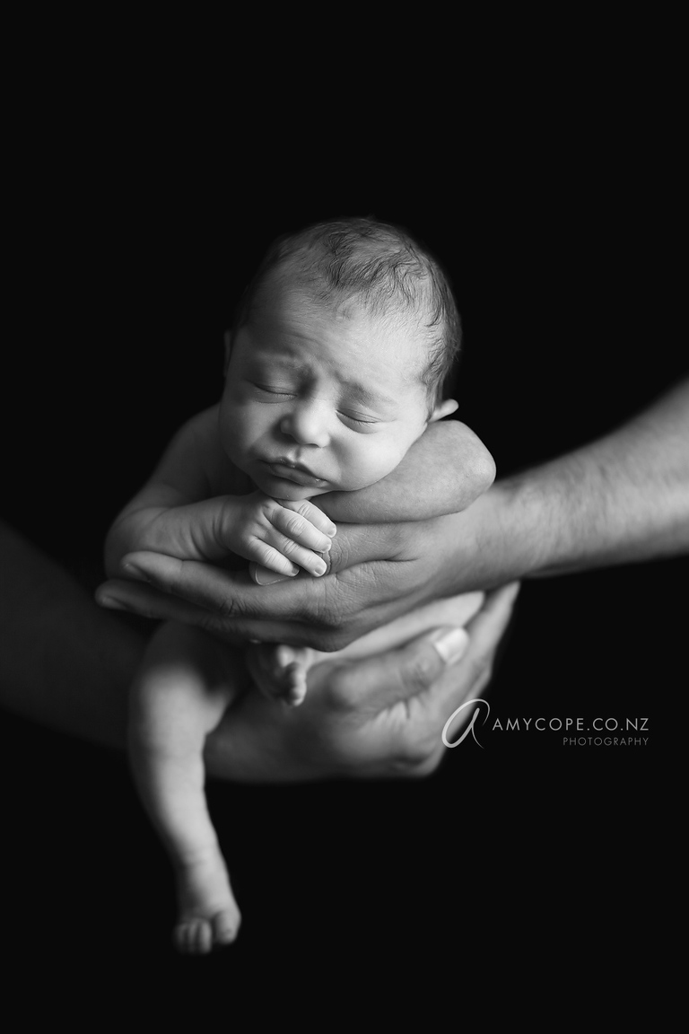 Newborn photos Auckland