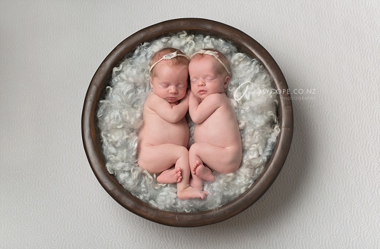 auckland newborn twin photographer